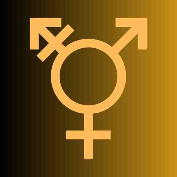 symbole transgenre