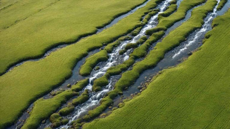 5 Prières Chrétiennes pour Bénir un Terrain