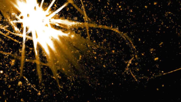 Les Énergies Cosmiques et Spirituelles